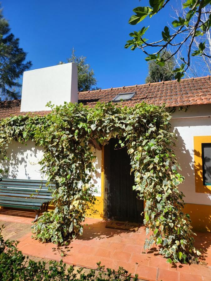 Quinta Da Mimosa Hotell Fajarda Exteriör bild