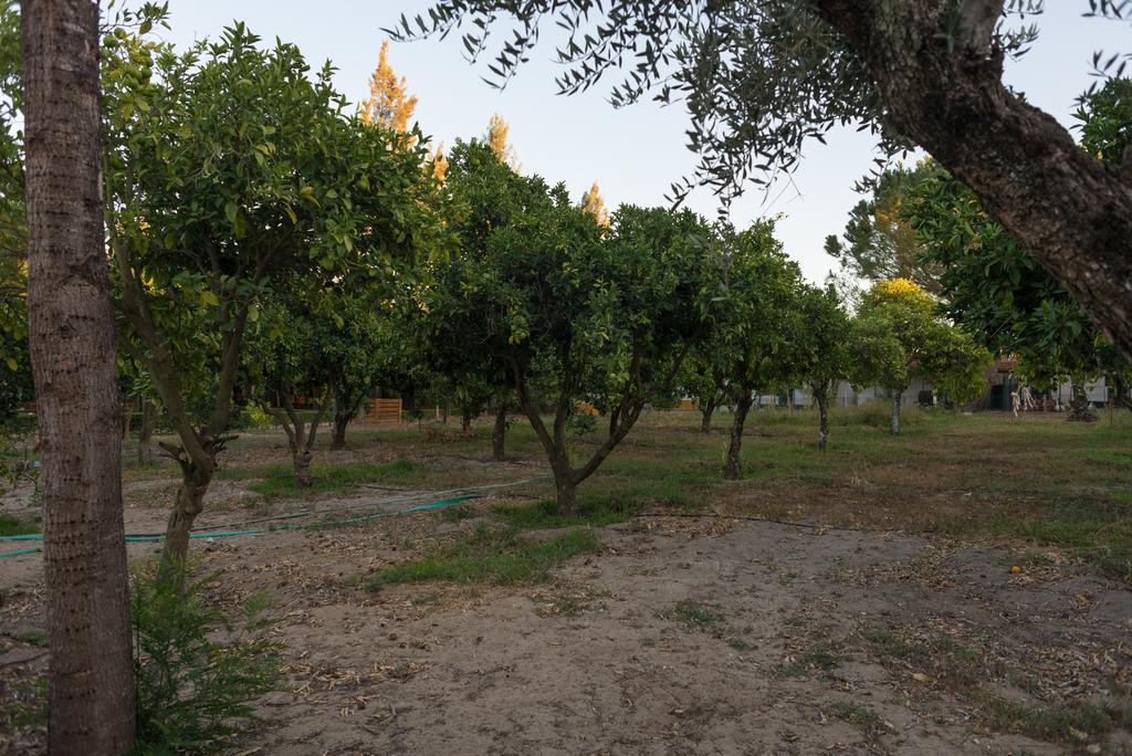 Quinta Da Mimosa Hotell Fajarda Exteriör bild